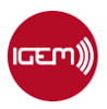 IGEM